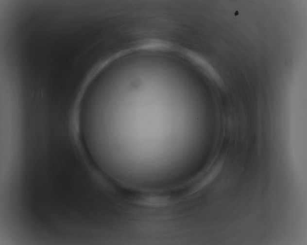 X0000101401375200807071209