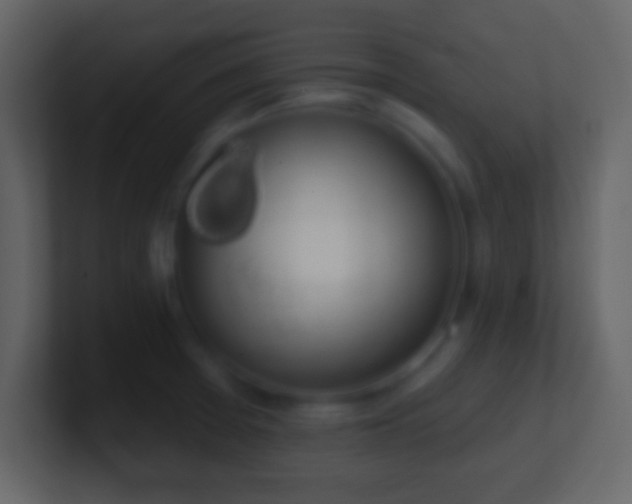 X0000101401377200807071209