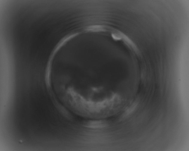 X0000101401378200807071209