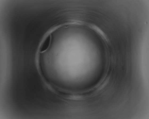 X0000101401379200807071209