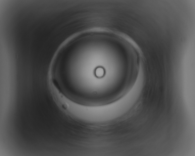 X0000101401380200807071209