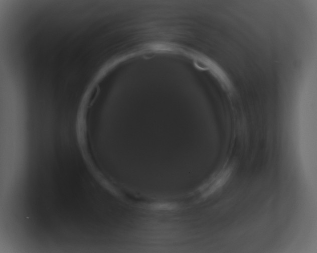X0000101401381200807071209