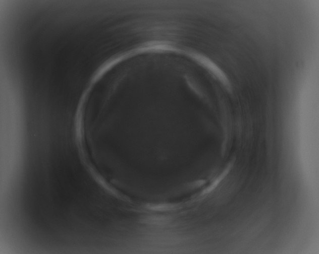 X0000101401382200807071209