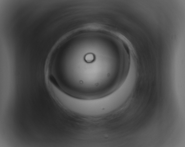 X0000101401384200807071209