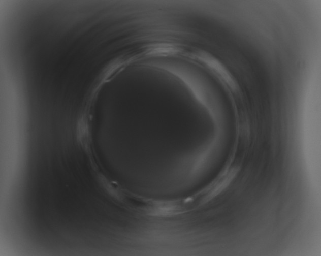 X0000101401385200807071209