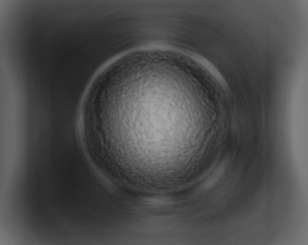 X0000101401388200807071209