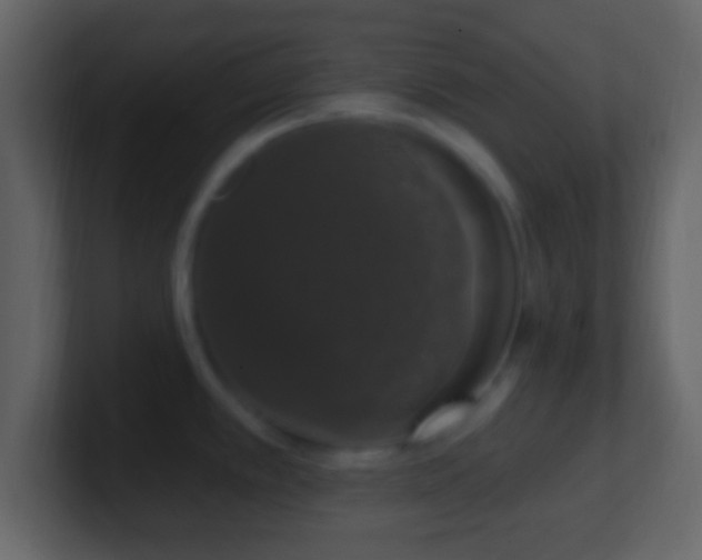 X0000101401389200807071209