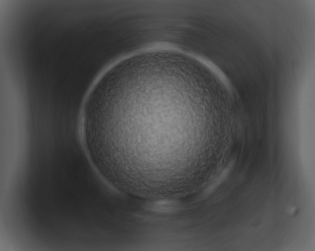 X0000101401390200807071209