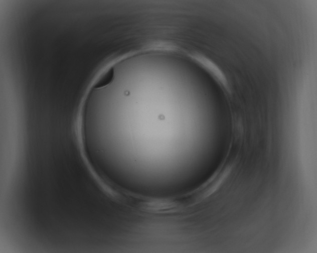 X0000101401391200807071209