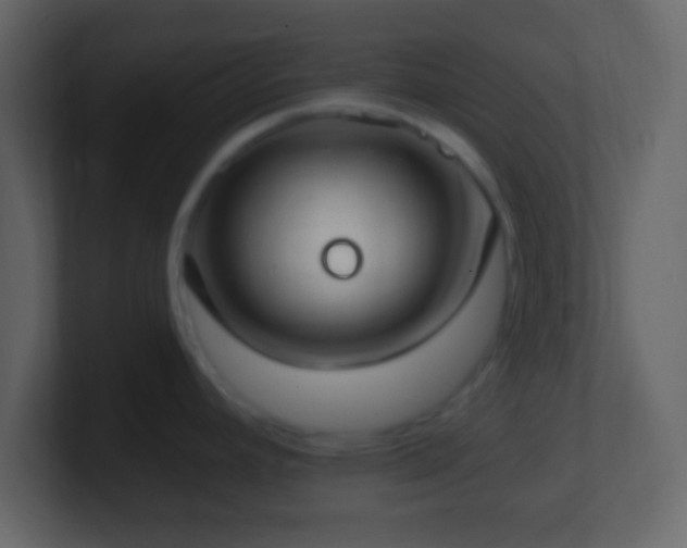 X0000101401392200807071209