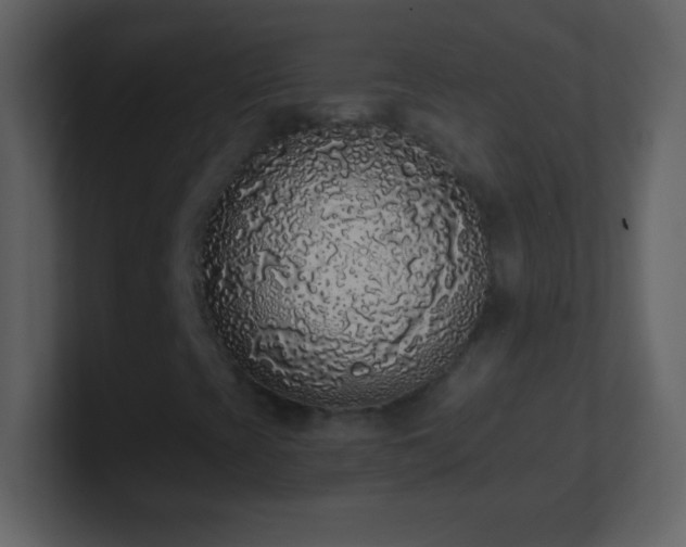 X0000101401393200807071208