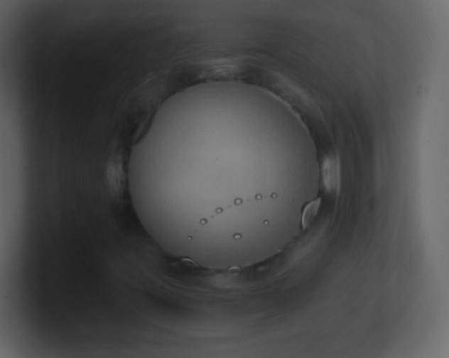 X0000101401395200807071208