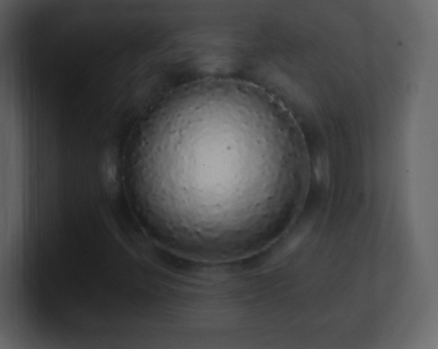 X0000101401396200807071208