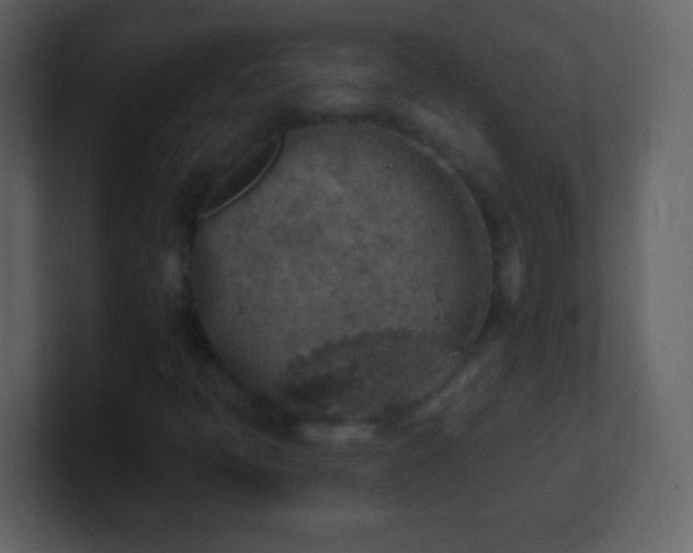 X0000101401397200807071208