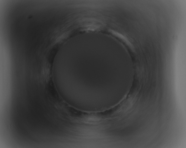 X0000101401399200807071208