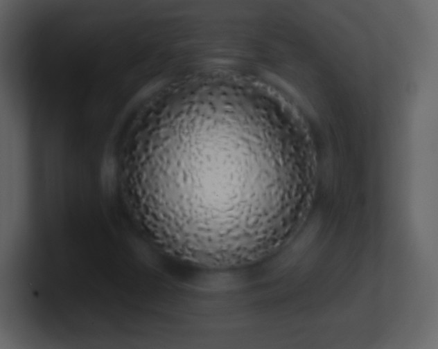 X0000101401402200807071208