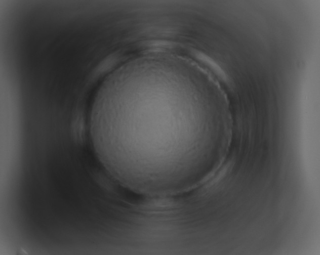 X0000101401403200807071208