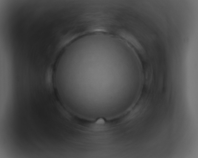 X0000101401404200807071209