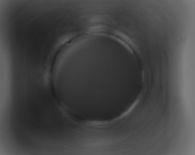 X0000101401405200807071209