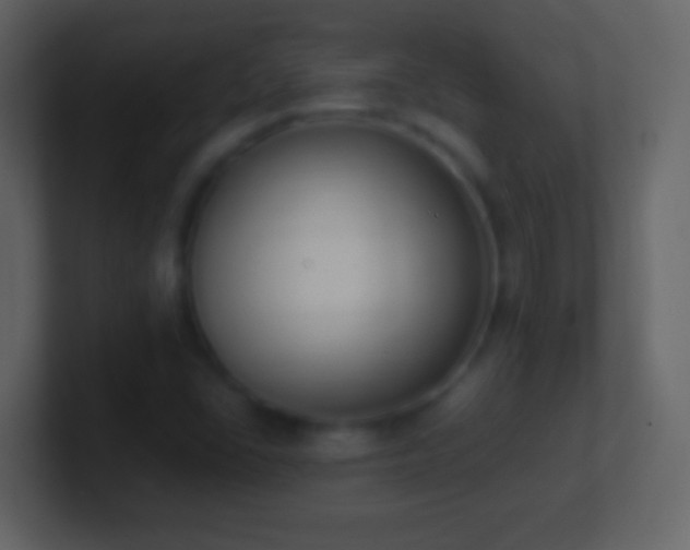 X0000101401406200807071209