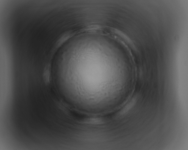 X0000101401409200807071209