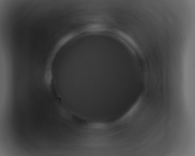 X0000101401413200807071209