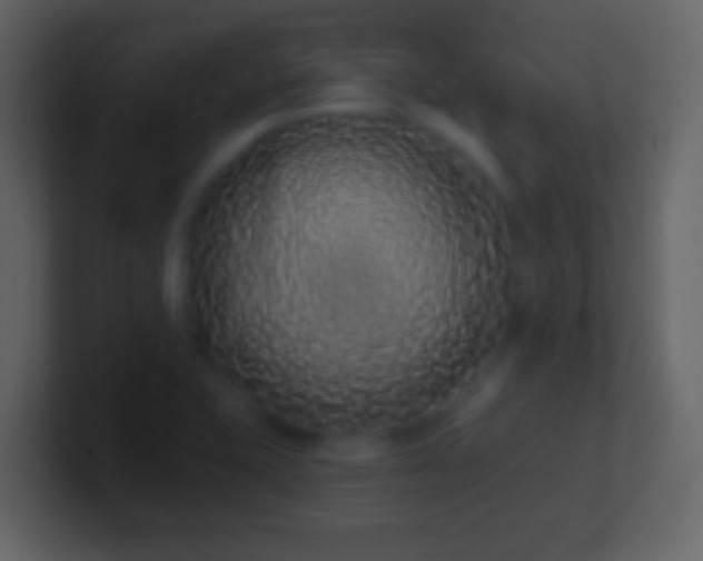 X0000101401415200807071209