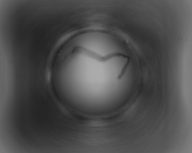 X0000101401416200807071209