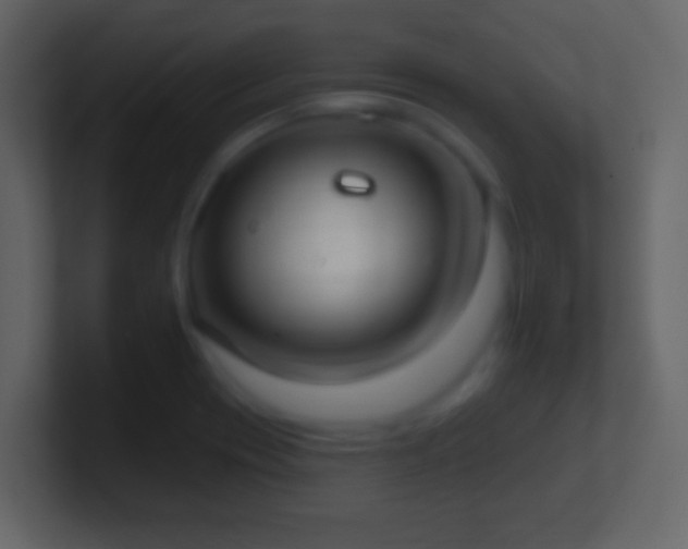 X0000101401417200807071209