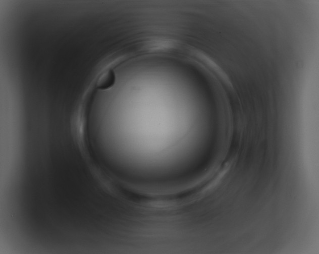 X0000101401418200807071209