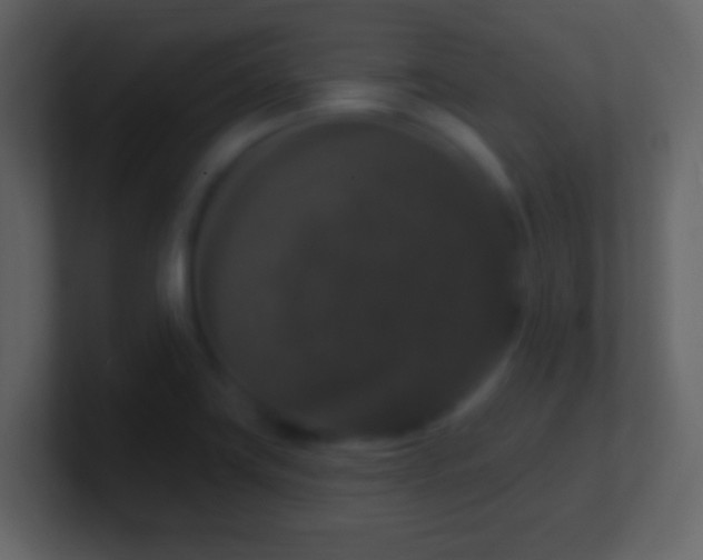 X0000101401419200807071209