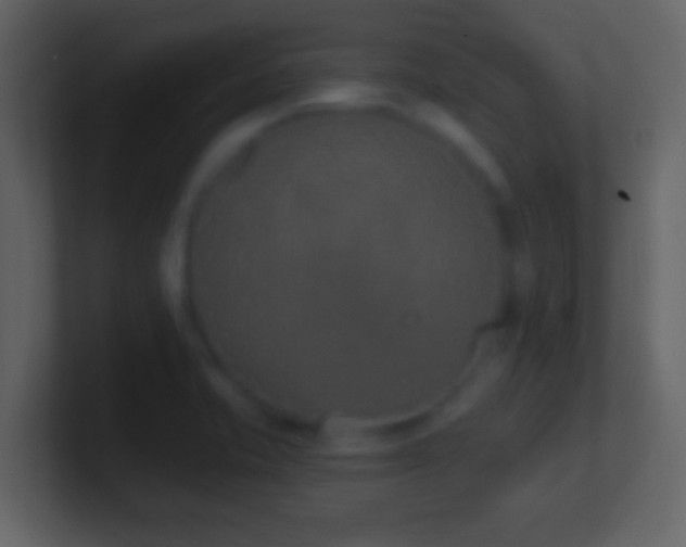 X0000101401421200807071209