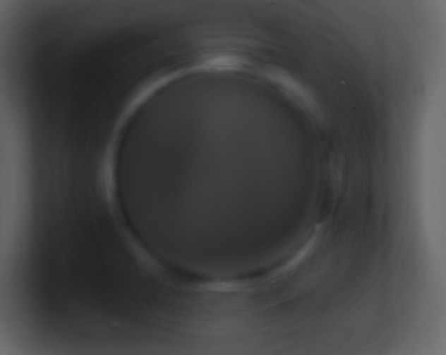 X0000101401422200807071209