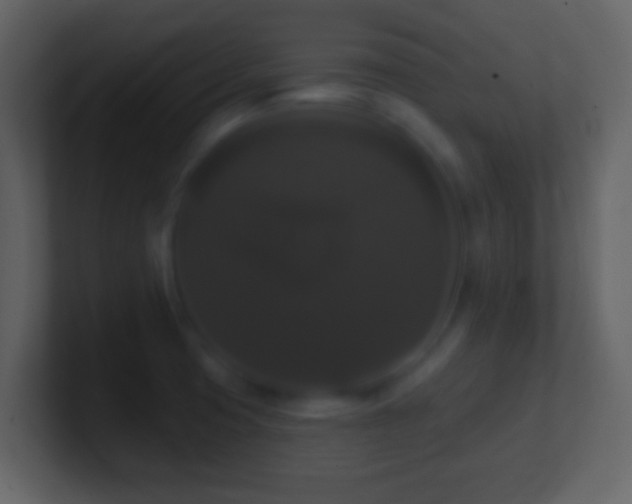 X0000101401425200807071209