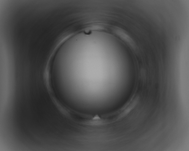 X0000101401426200807071209