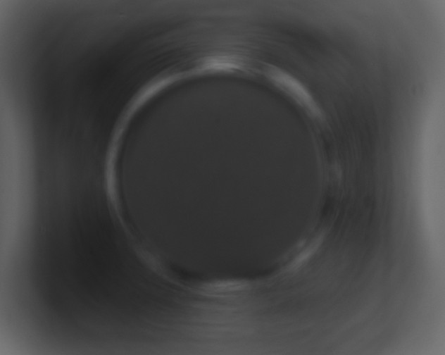 X0000101401427200807071209
