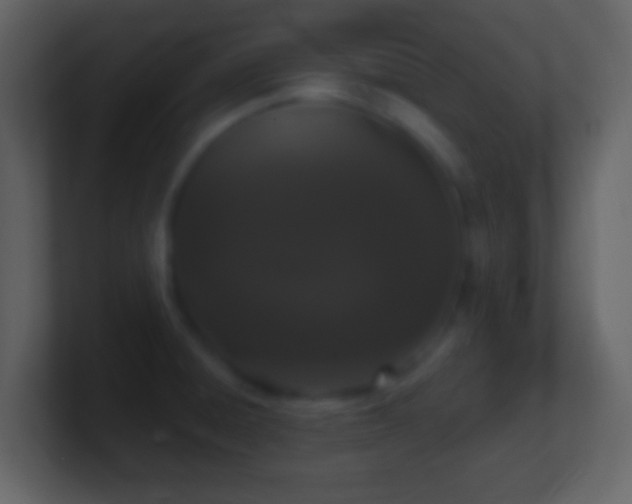 X0000101401428200807071209
