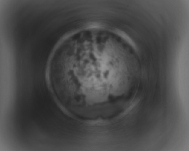 X0000101401429200807071209