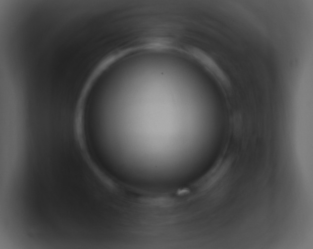 X0000101401432200807071209