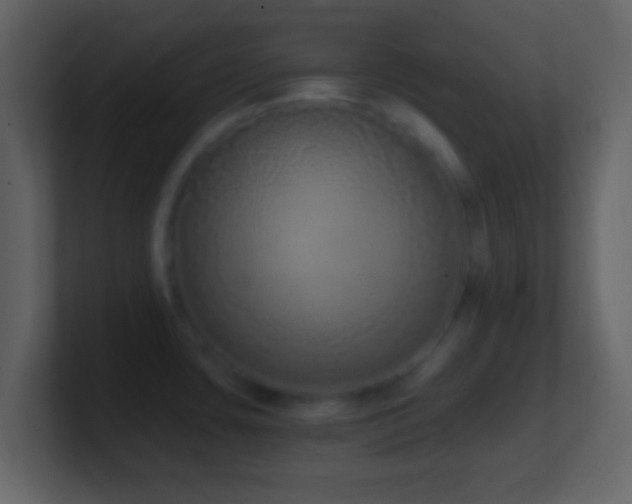 X0000101401435200807071209