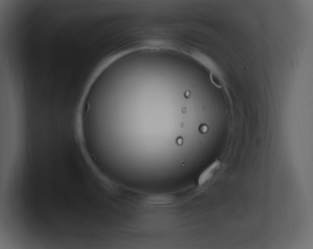 X0000101401440200807071209