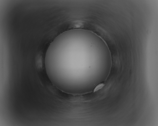 X0000101401442200807071208