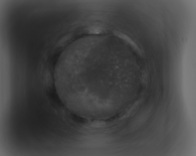 X0000101401446200807071208