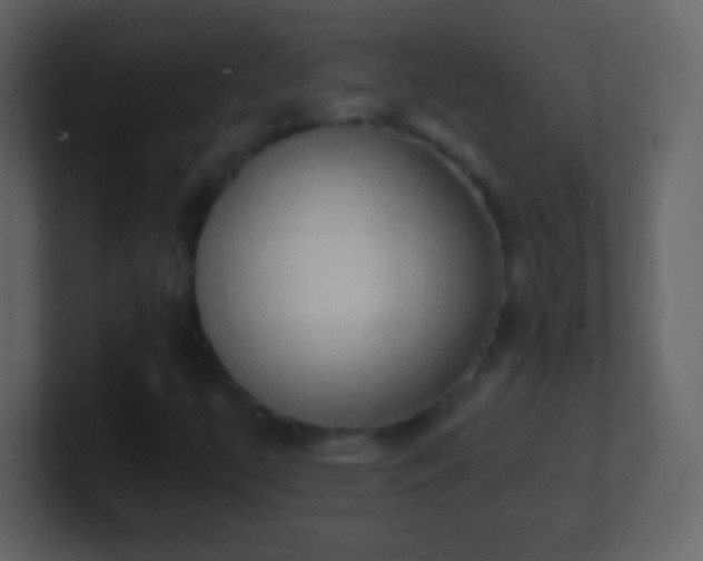 X0000101401447200807071208