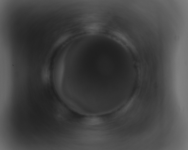 X0000101401450200807071208