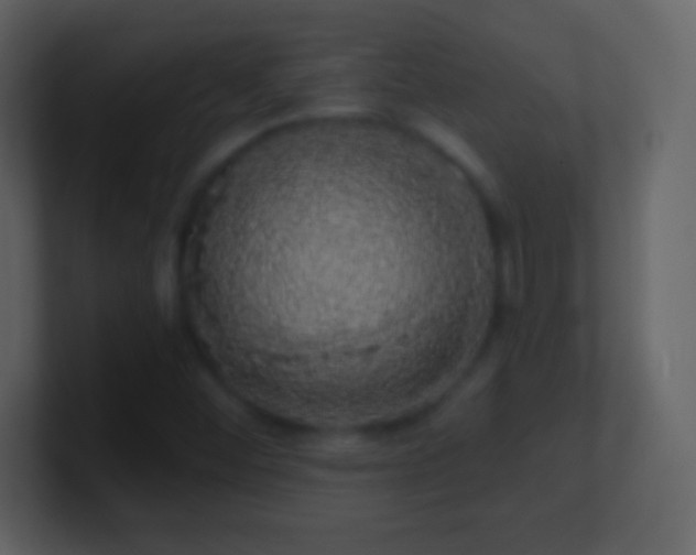 X0000101401452200807071208