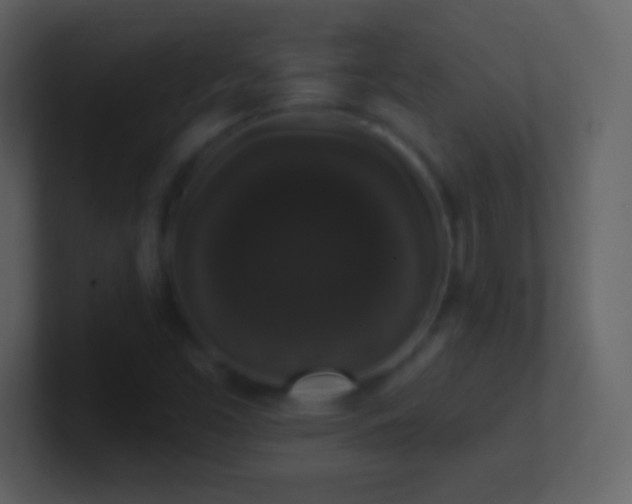 X0000101401453200807071208