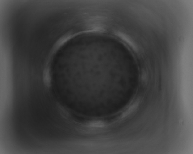 X0000101401455200807071208
