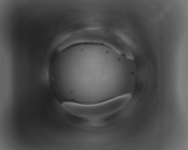 X0000101401456200807071208