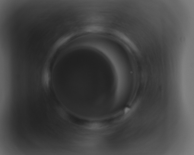 X0000101401461200807071208